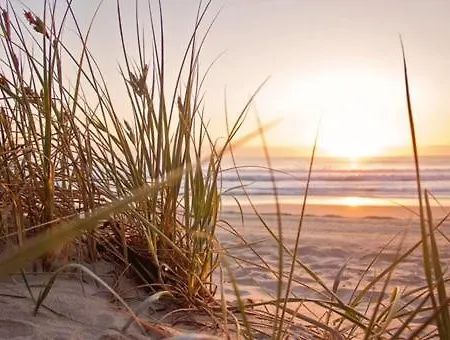 Bosuil- Cosy Holiday Home Near The Beach Noordwijk