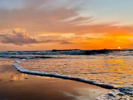 House De Bosuil - 2 Km From The 펜션 *