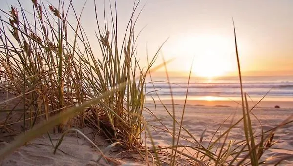 House De Bosuil - 2 Km From The 노르트베이크