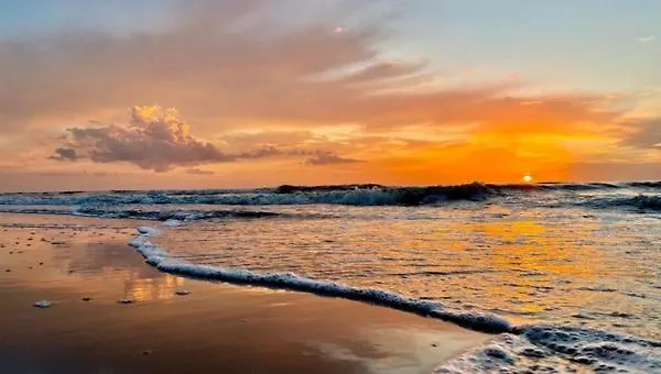 House De Bosuil - 2 Km From The Dom wakacyjny *