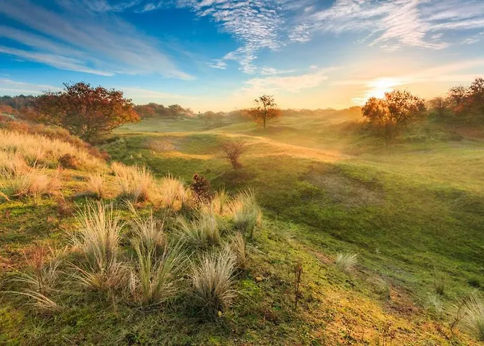 Vakantiehuis House De Bosuil - 2 Km From The *