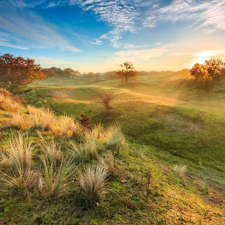 Prázdninový dům House De Bosuil - 2 Km From The *
